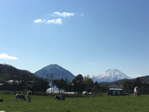 喜茂別町は札幌の隣町。周りはニセコやルスツ、洞爺といった観光地に囲まれています。