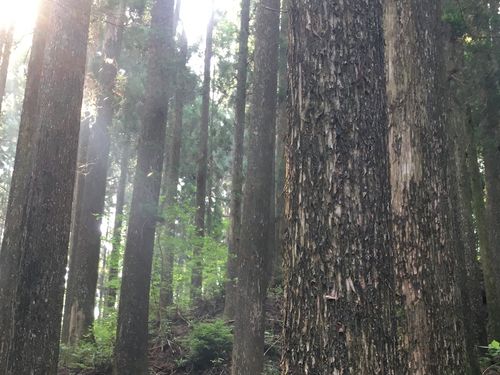 自然豊かな環境で・・・。あなたの夢はなんですか・・・。