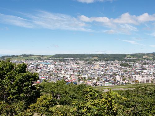人口約22,000人の新ひだか町。市街地には商業施設などが集まる。