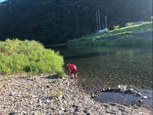 夏は川遊びがおすすめです