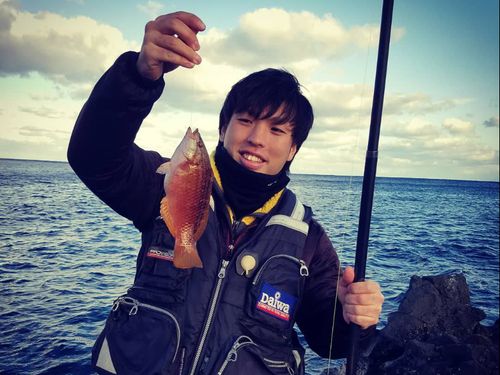 三宅島地域おこし協力隊が相談に乗ります！