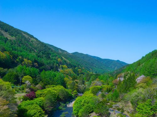 ゲストハウス近くの渓谷。圧倒的な美しさがそこにあります。