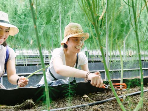 産地野菜や果物が豊富なのも魅力！