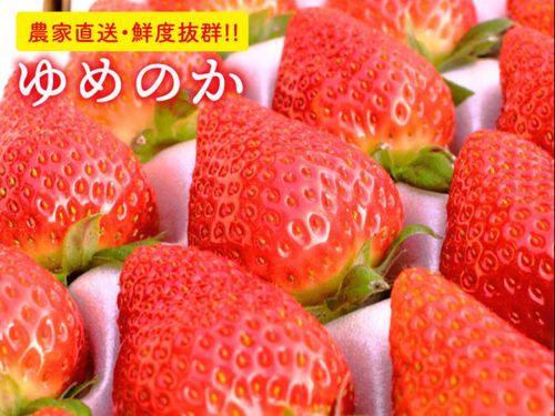 いちごも特産です！甘みと酸味がバツグンのゆめのか！【ふるさと納税品】