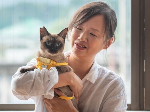 事業パートナーと市内で保護した猫