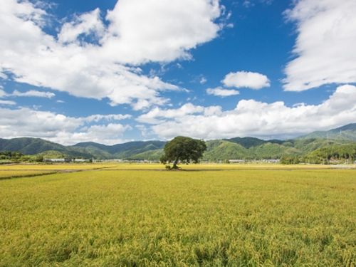 滋賀県長浜市