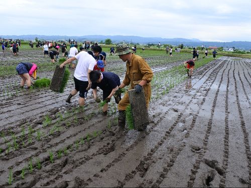 農業がとても身近なので食の大切さを感じることができます。