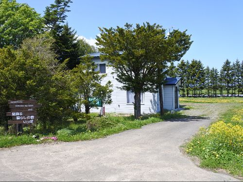 近くを散歩するだけで地域の人との触れ合いも生まれます。