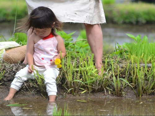 子どものうちから自然に触れられる