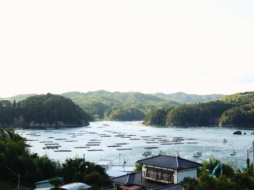 こんな海を見ながら働いてみませんか？