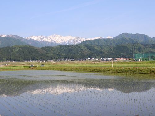 日常の中に絶景が！絶景散歩は最高です