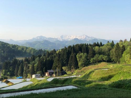 世界的アウトドアブランド「snow peak」の本社も下田にあります。