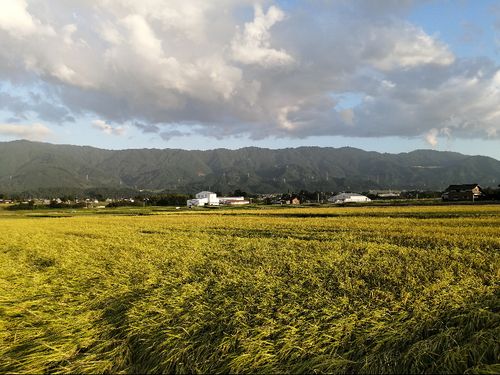ちょうどツアー時期の日常風景
