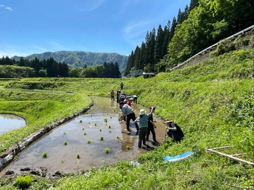 棚田での田植え体験！