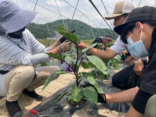 有機農業の技術を真剣に学ぶ受講生