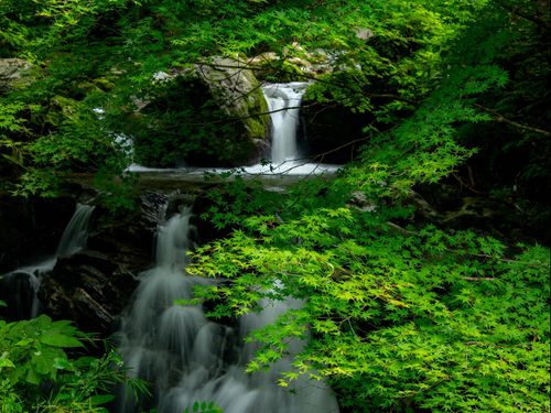 夏の古殿