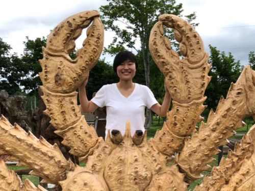 【1部登壇者】 下川町役場SDGs担当：清水　瞳 慶応義塾大学在学中に下川町役場で長期インターンシップを経験し、SDGs切り口で国内外へ情報を発信。2021年4月に下川町役場へ就職しSDGsの担当職員として活躍中。やりたいプロジェクトの構想がたくさんあって、ワクワクが止まらない社会人１年生。