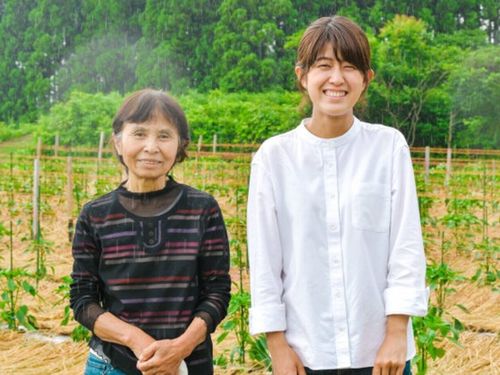 伝統野菜ぼたんこしょうのファンづくり