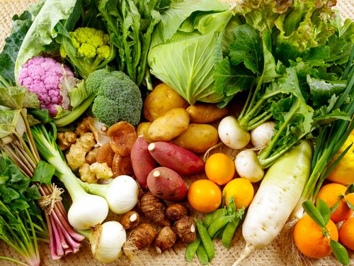 俵ヶ浦半島の多様な野菜たち