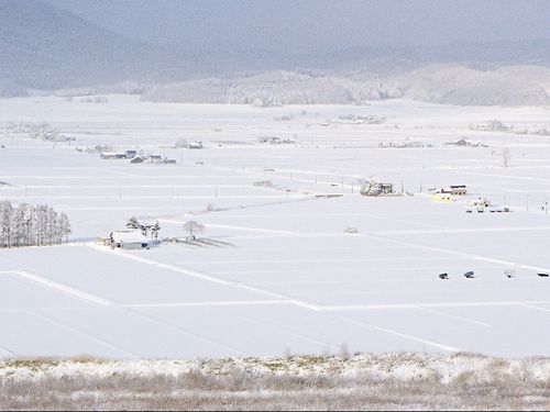 白い世界が広がる田園