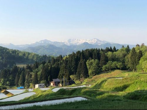世界的アウトドアブランド「Snow Peak」の本社も下田にあります。