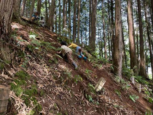 メインの活動場所の加陽水辺公園。子どもたちが坂登りにチャレンジ。