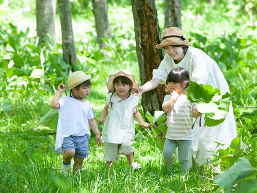 家からすぐ山も海もある自然環境