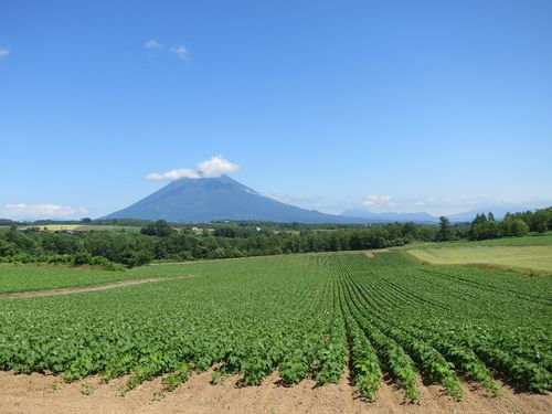 絶景の中での作業