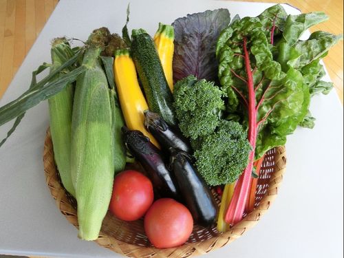 夏野菜のイメージ