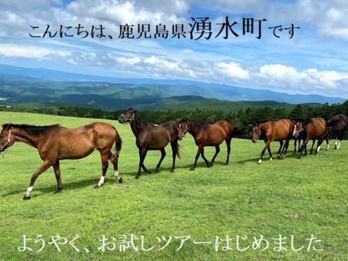 コロナで実現できていないツアーを私と一緒にやりましょう！
