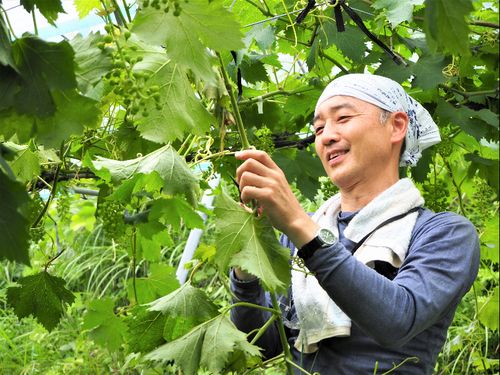 ワイナリー設立を目指す今井さん