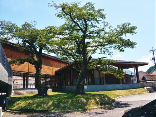 運営場所の前には大きなシンボルツリーがあります。