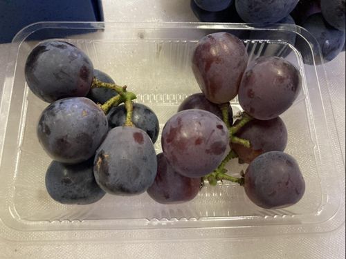 色の違いがわかるかな？