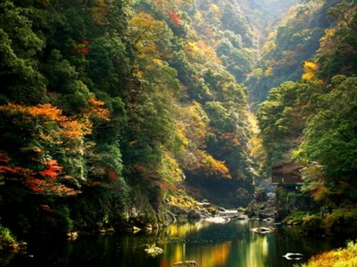 山口県を代表する渓谷の国指定名勝「長門峡」