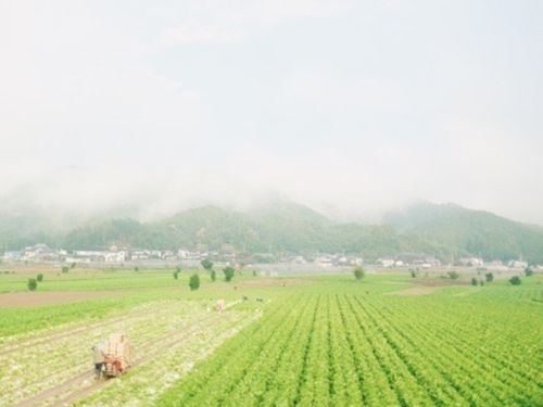農ある風景