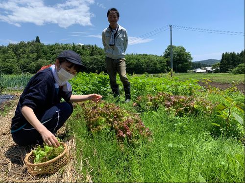 ③当たり前にある身の回りの自然との共存