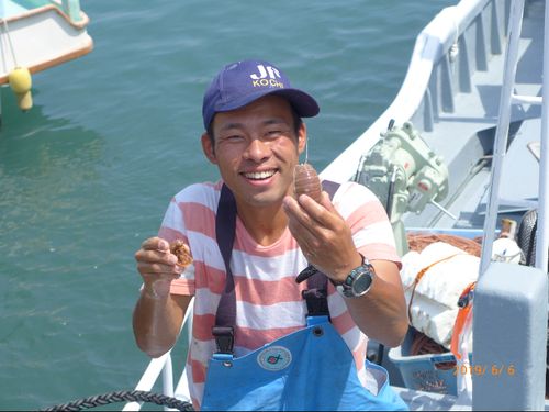 松尾さんが採取するオオグソクムシ。室戸市のふるさと納税返礼品の人気商品です。