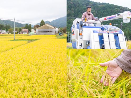 こだわりのコメ作りに挑戦し続ける宮城県七ヶ宿町の稲作の風景