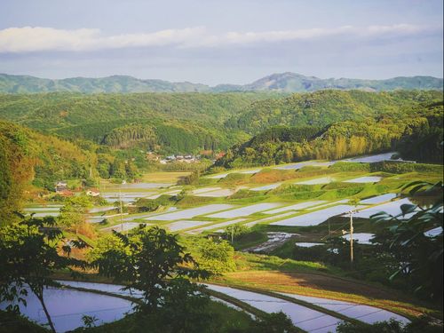 このうつくしい風景をぜひ生で見てほしい