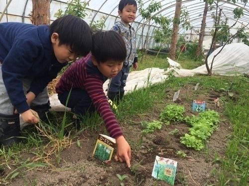 プチ農業体験。滞在中に収穫体験などの農業体験ができます。農家さんの指導のもとトラクター体験などもできますよ。
