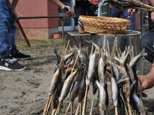 常陸大宮名物・アユを焼いてみる！