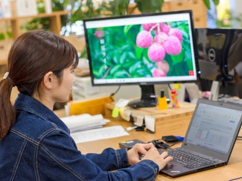 全事業部横断で、各事業部の担当者と連携したお仕事です