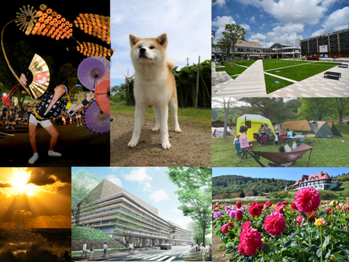 都市と雄大な自然のいいとこ取り