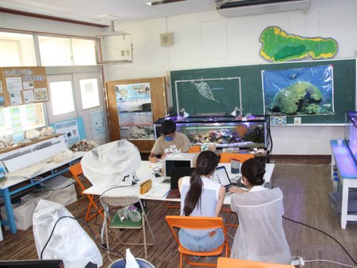 サイエンスキャンプの準備を行う大学、インターン生