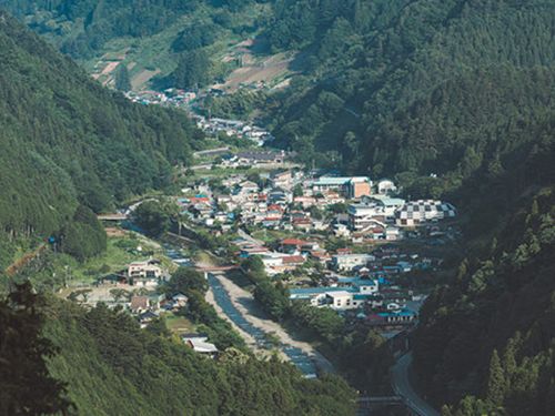 山が元気になることで小菅村自体が元気に。中山間地域の森林活用の新しいモデルづくりを目指す。