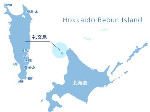 礼文町の位置