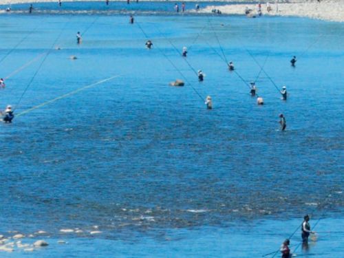 釣りに訪れる方は年間約6万人！サクラマスやアユが釣れます！