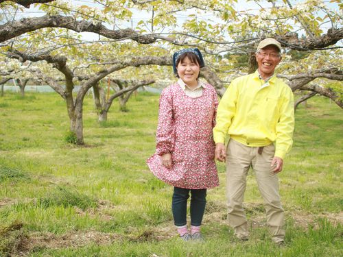 萩の海沿い、山間部、城下町。多様な自然と暮らしを体験できる萩の農泊