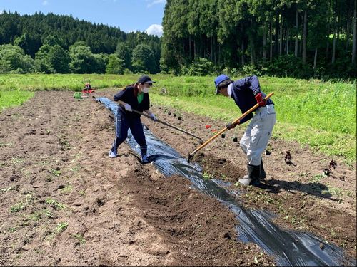 都会の若者を呼んで特産品の農業体験など【関係人口づくり】も