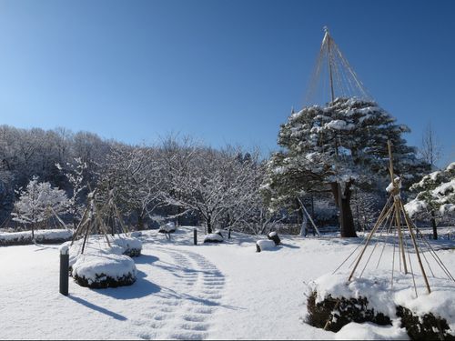 「冬」ならではの風景も魅力の１つです